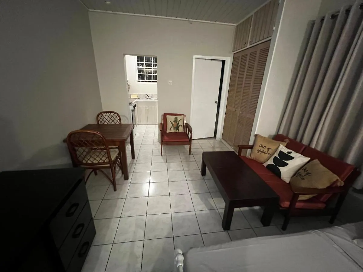Home On The Hill Christ Church Apartment
